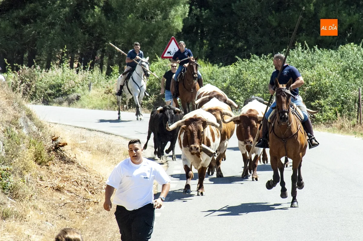 Encierro a Caballo en Robleda por San Juan