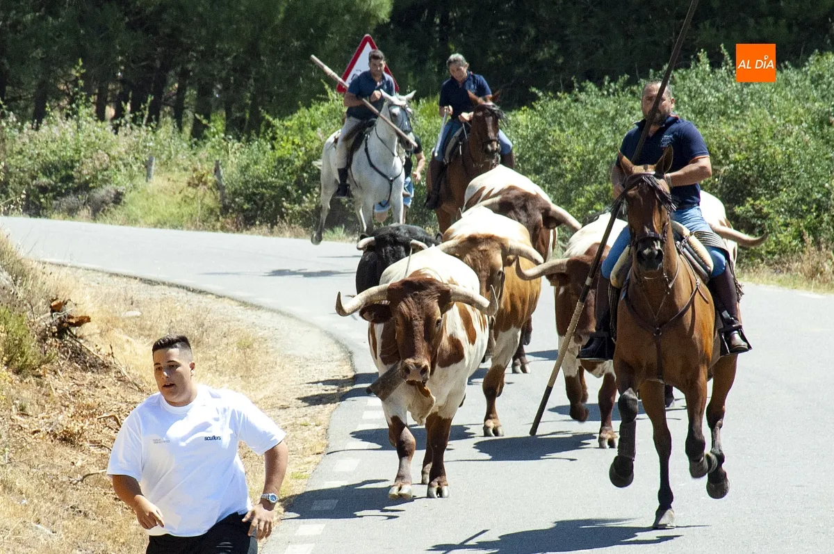 Encierro a Caballo en Robleda por San Juan