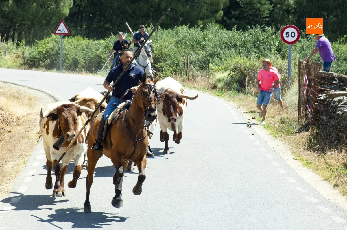 Encierro a Caballo en Robleda por San Juan
