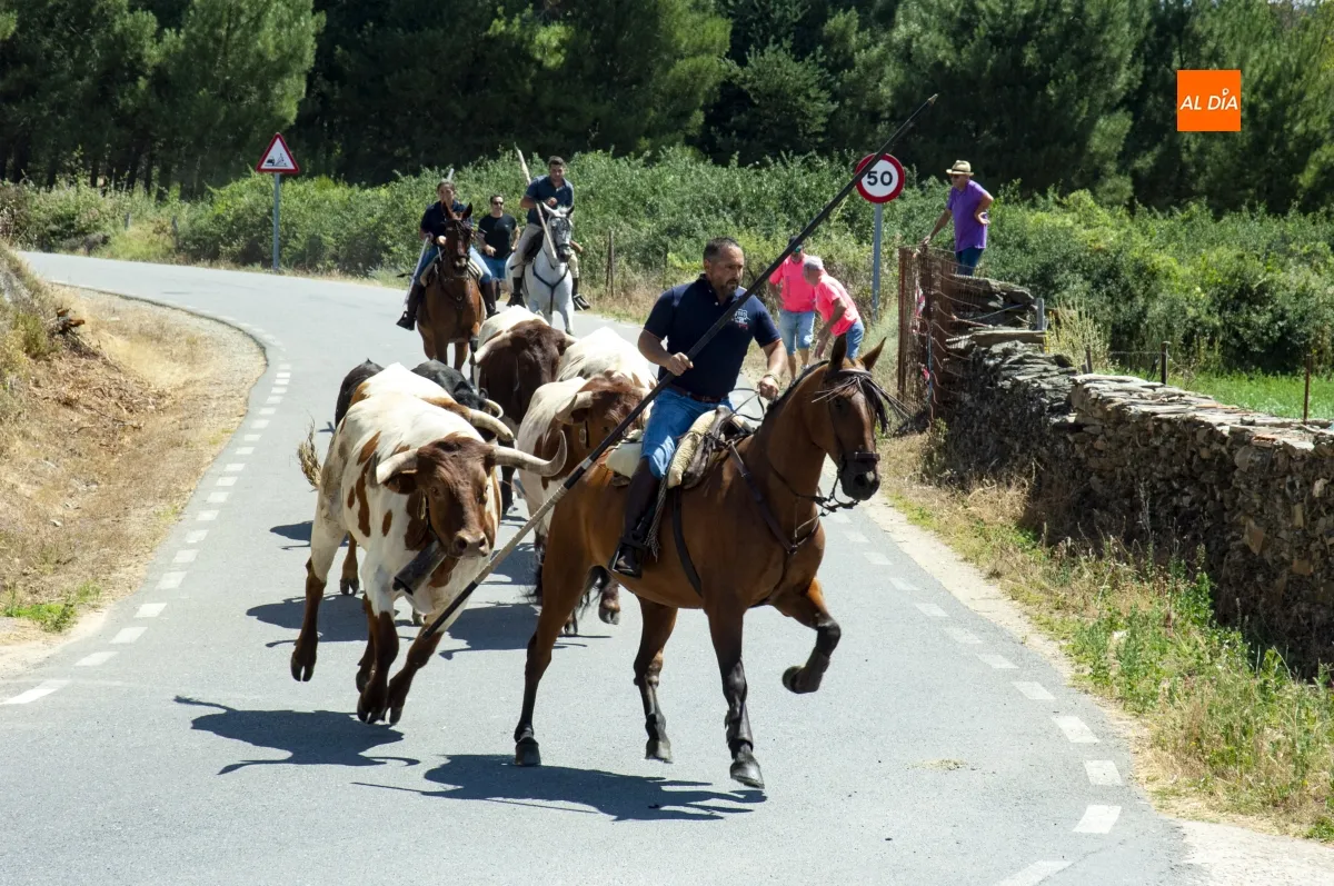 Encierro a Caballo en Robleda por San Juan