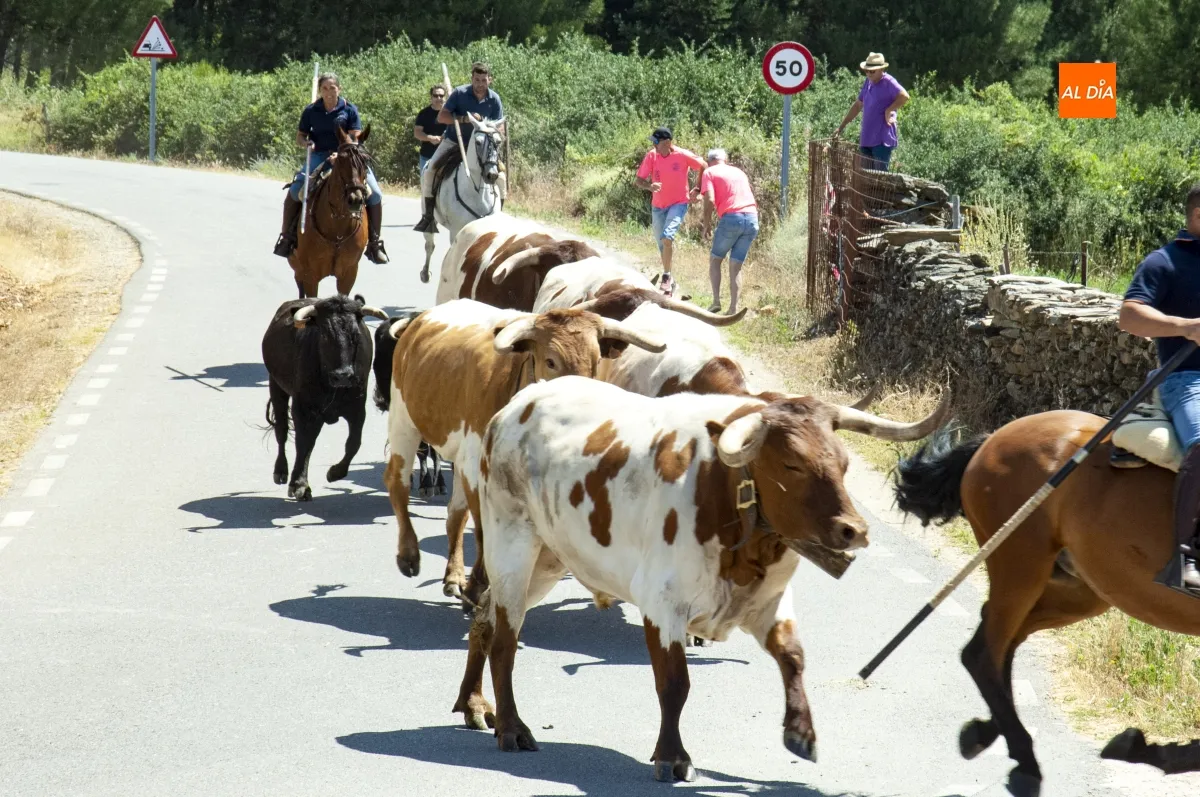 Encierro a Caballo en Robleda por San Juan