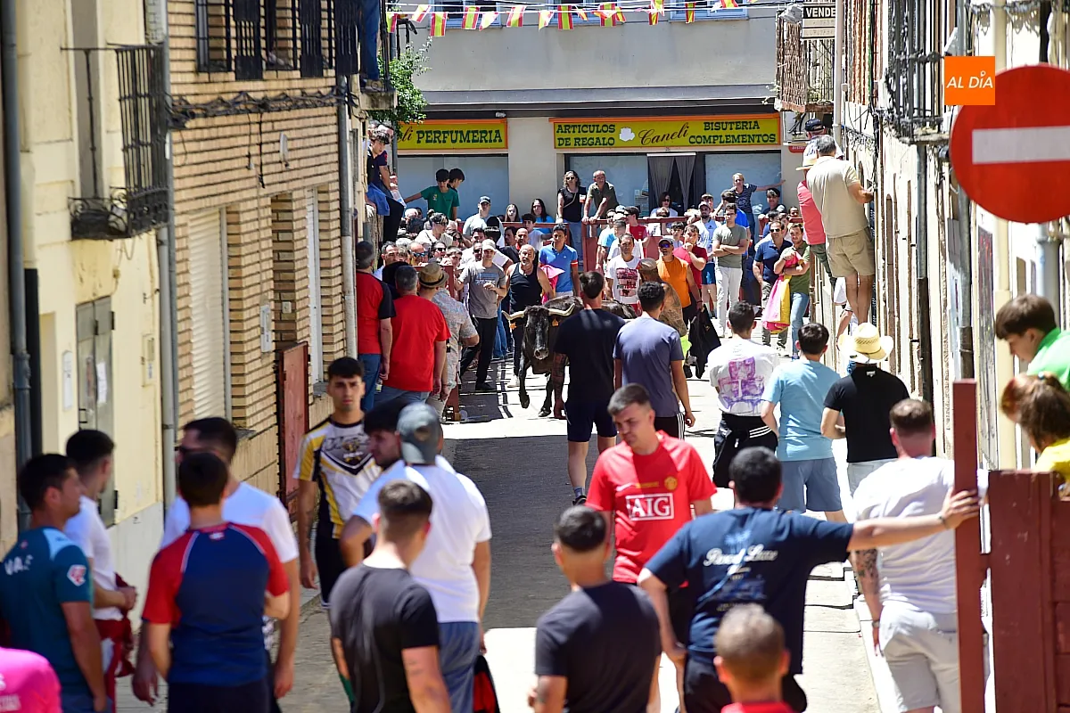 Encierro urbano matinal en la Fuente de San Esteban