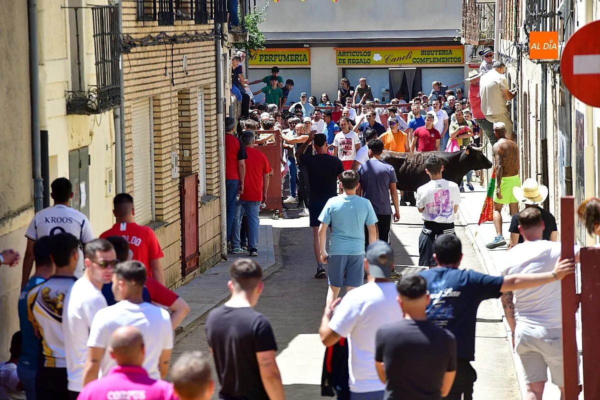 Encierro urbano matinal en la Fuente de San Esteban