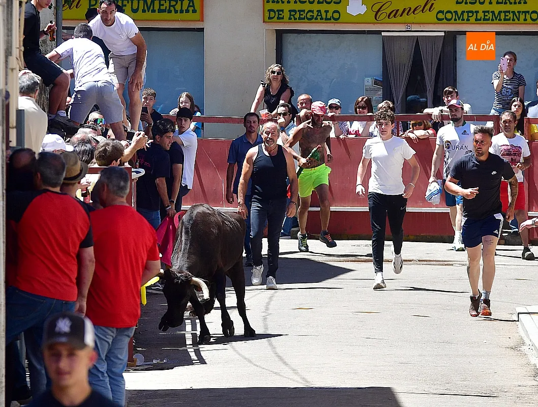 Encierro urbano matinal en la Fuente de San Esteban