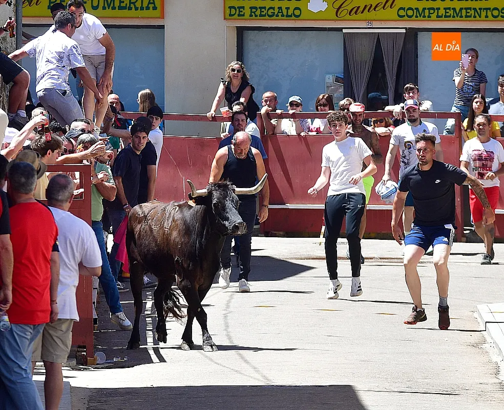 Encierro urbano matinal en la Fuente de San Esteban