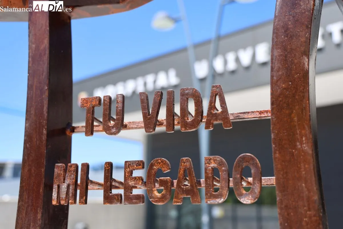 Inauguración junto al Hospital de la escultura 'Tu vida, mi legado', una iniciativa de ALCER para homenajear de forma permanente a los donantes de órganos y tejidos y a sus familias. Foto de David Sañudo