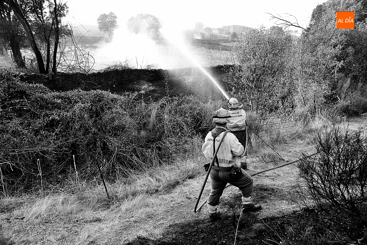 Alerta por riesgo de incendios forestales en Castilla y León