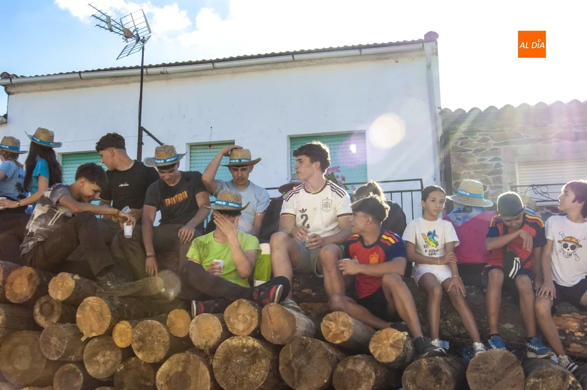 Izado pino San Juan en Robleda