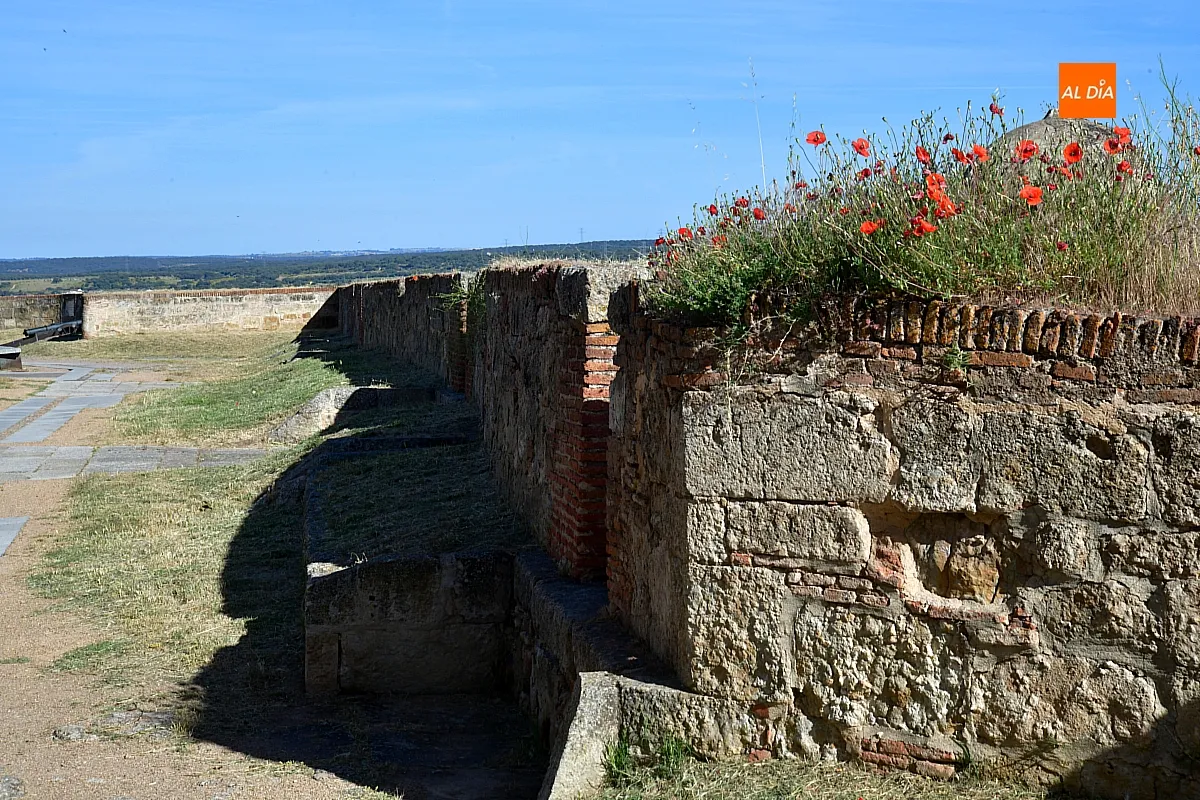 Limpieza viaria y glacis con FCC