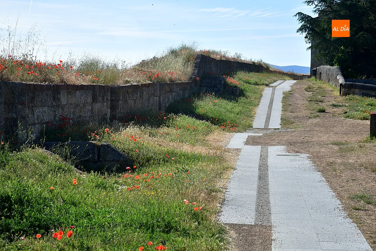 Limpieza viaria y glacis con FCC