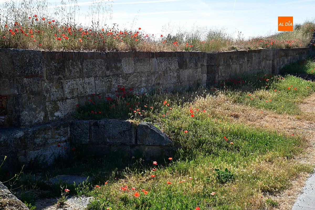 Limpieza viaria y glacis con FCC
