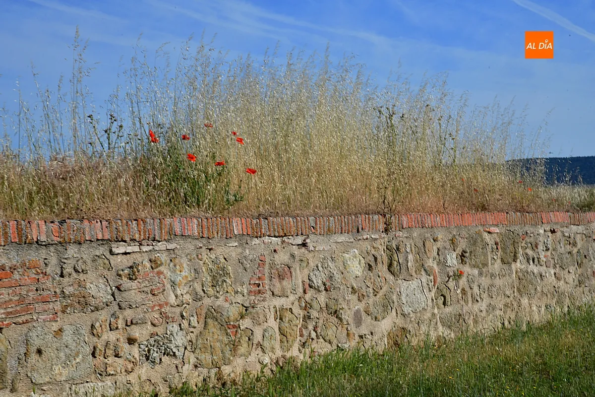 Limpieza viaria y glacis con FCC