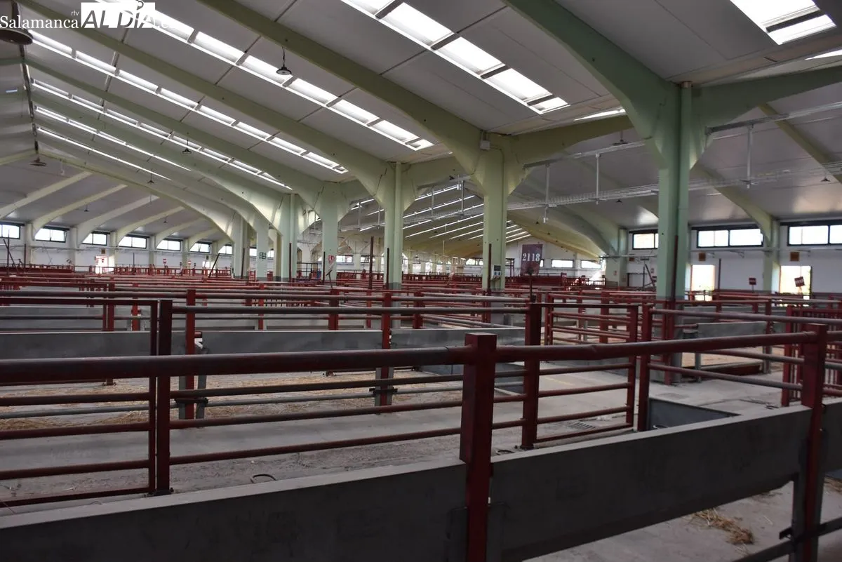 Modernización del Recinto Ferial de Salamanca. Fotos Miguel González