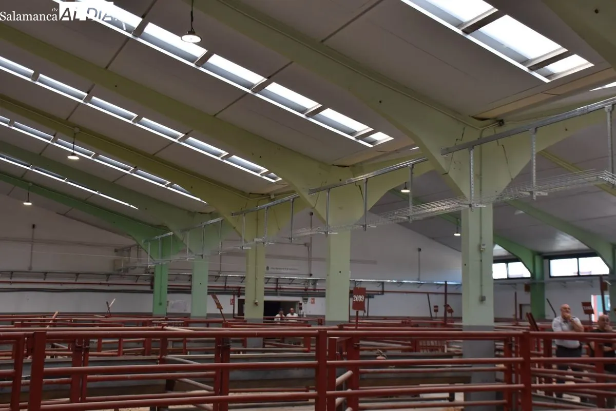 Modernización del Recinto Ferial de Salamanca. Fotos Miguel González