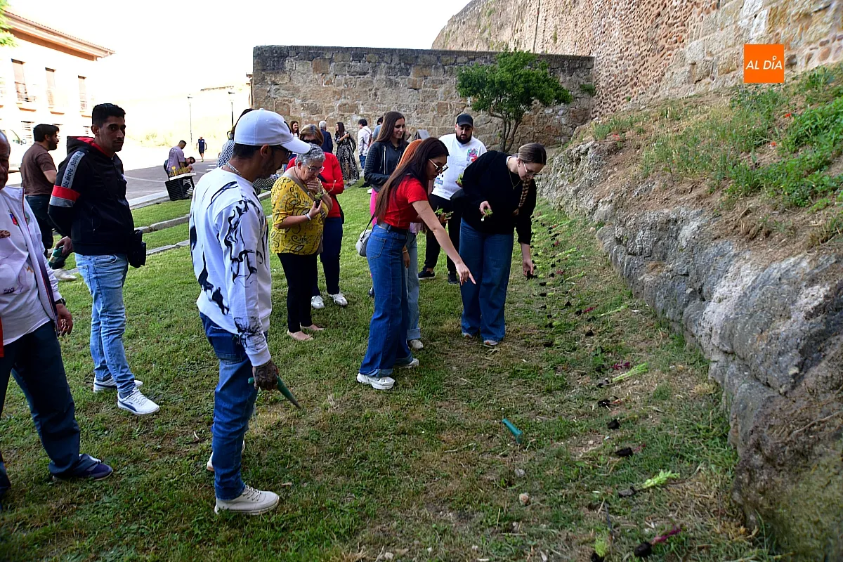 Actividades por la Día Mundial de la Caridad 