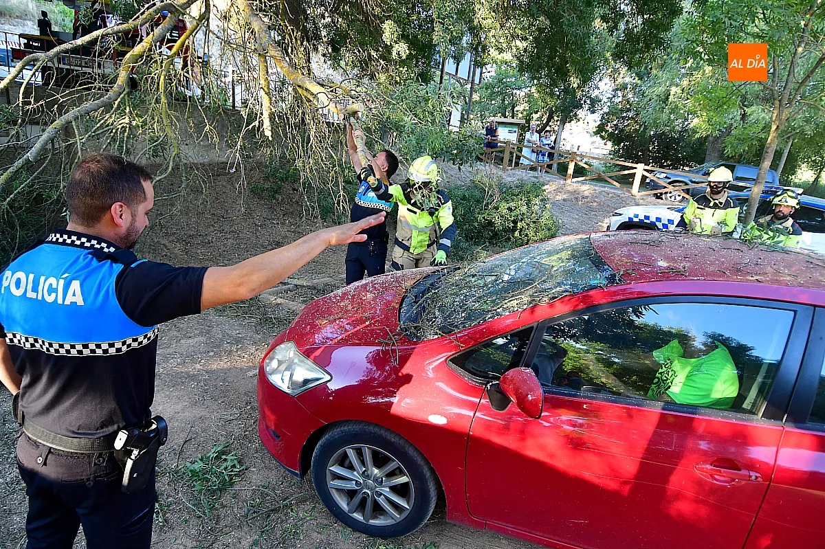 Los Bomberos retirando la rama del vehículo