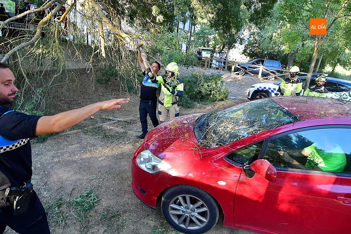 Los Bomberos retirando la rama del vehículo