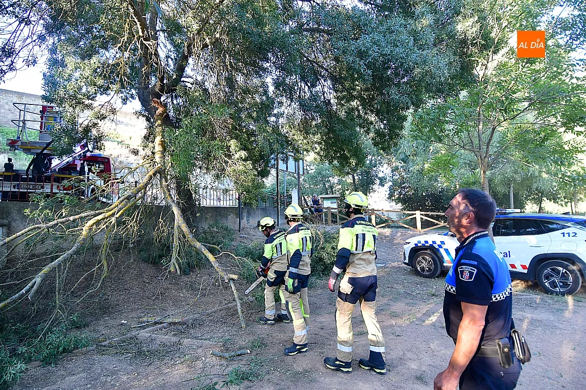 Los Bomberos retirando la rama del vehículo