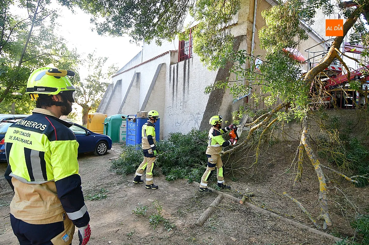 Los Bomberos retirando la rama del vehículo