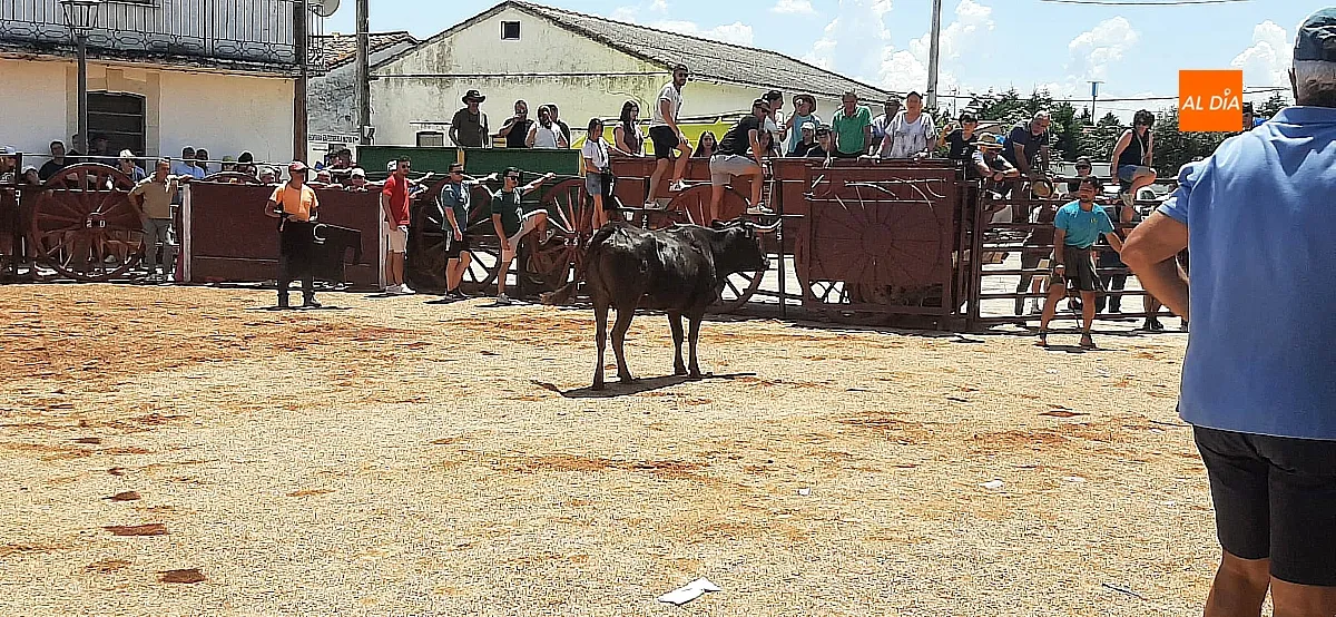 Suelta de vaquillas en Martín de Yeltes