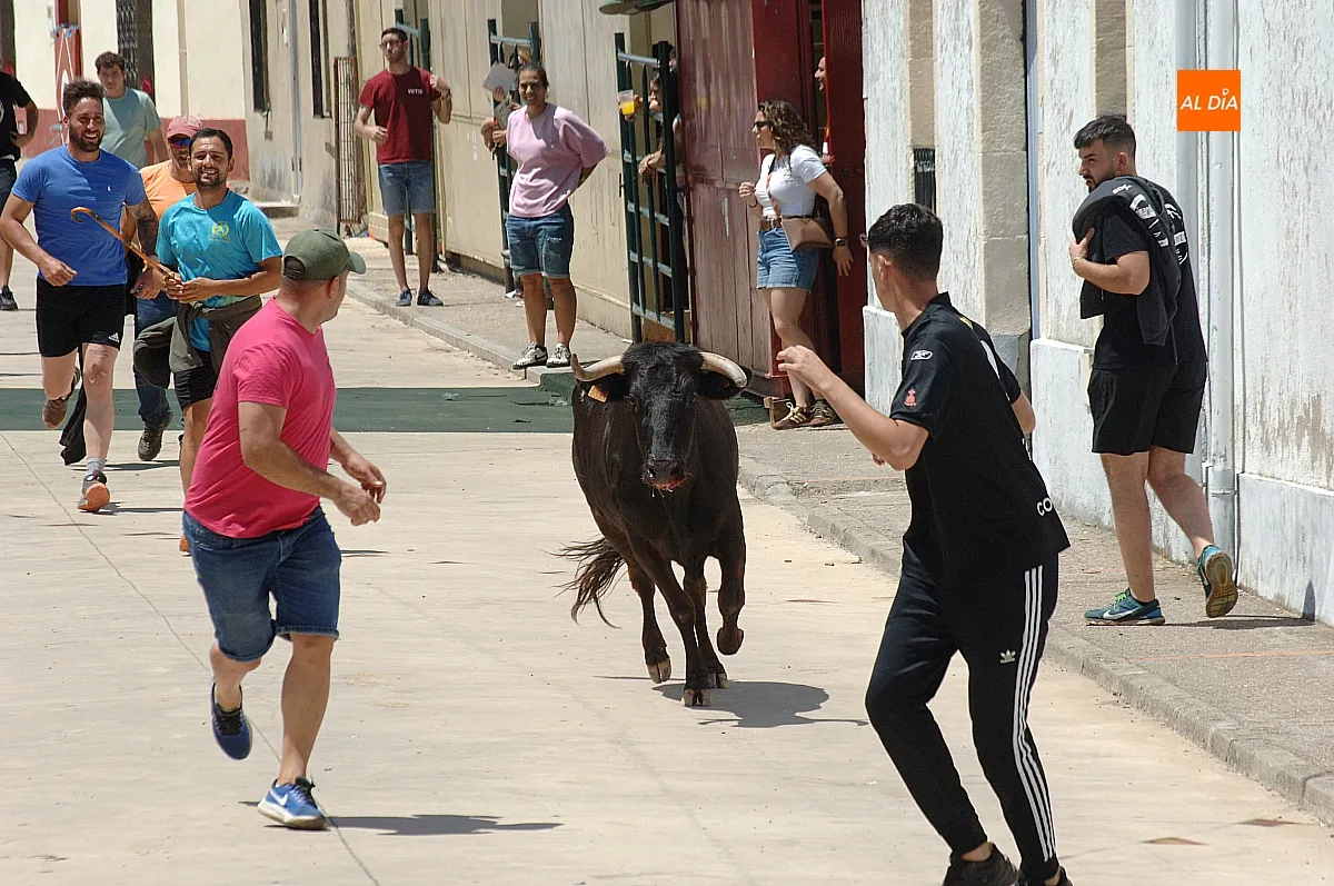 Carretones, huevos con farinato y vaquillas en el penúltimo día festivo de Martín de Yeltes
