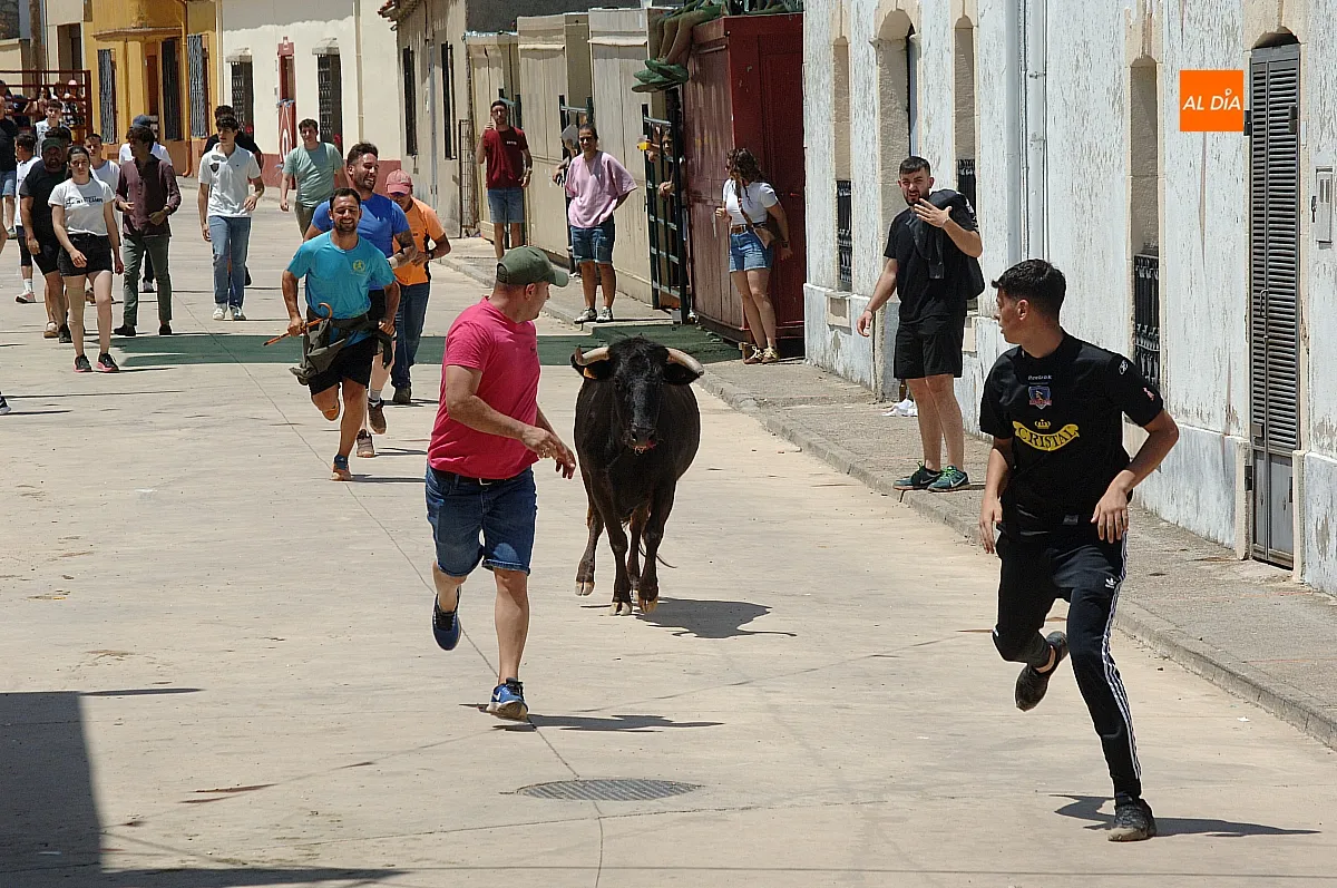 Suelta de vaquillas en Martín de Yeltes