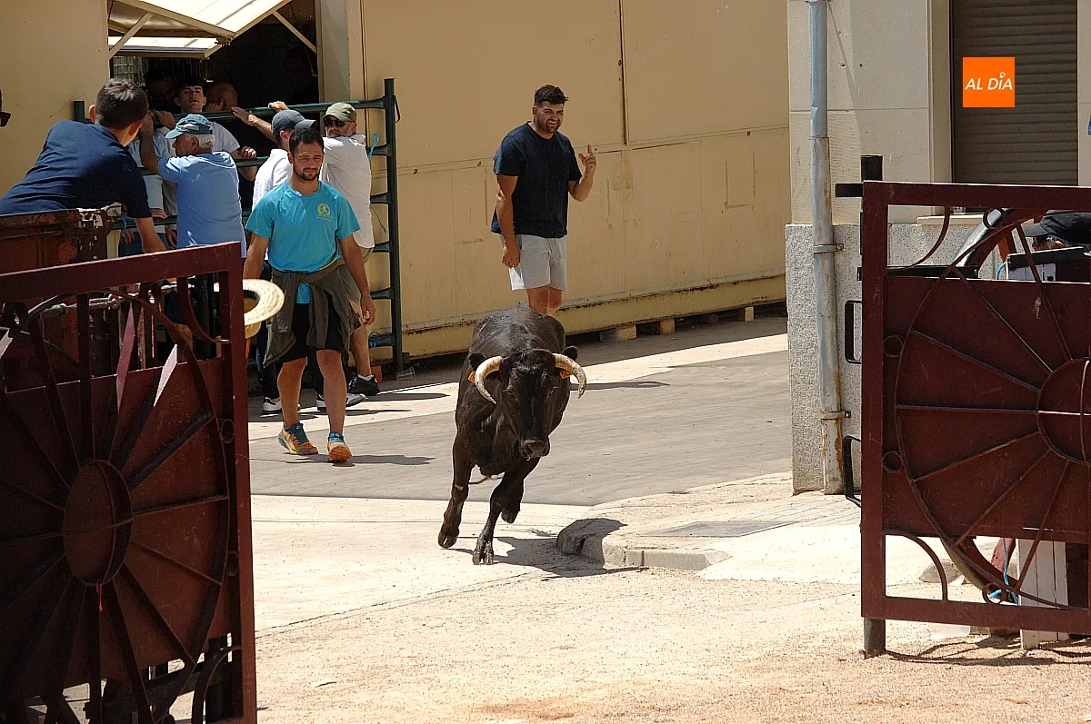 Suelta de vaquillas en Martín de Yeltes