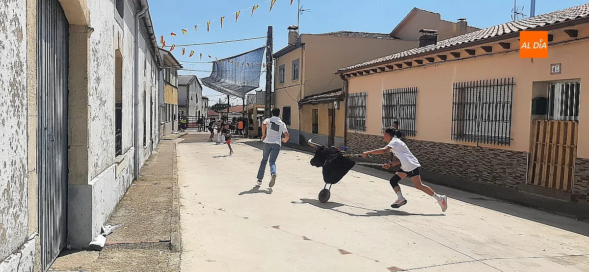 Suelta de vaquillas en Martín de Yeltes