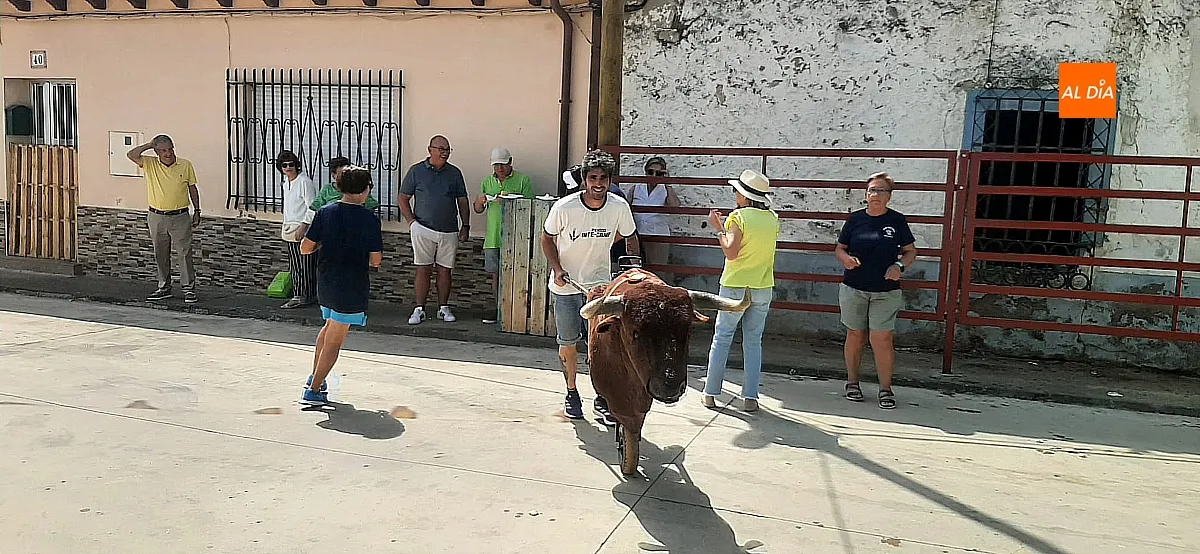 Suelta de vaquillas en Martín de Yeltes