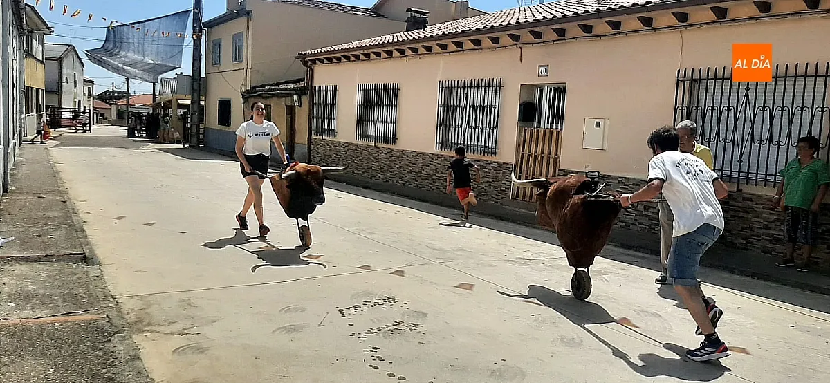 Suelta de vaquillas en Martín de Yeltes