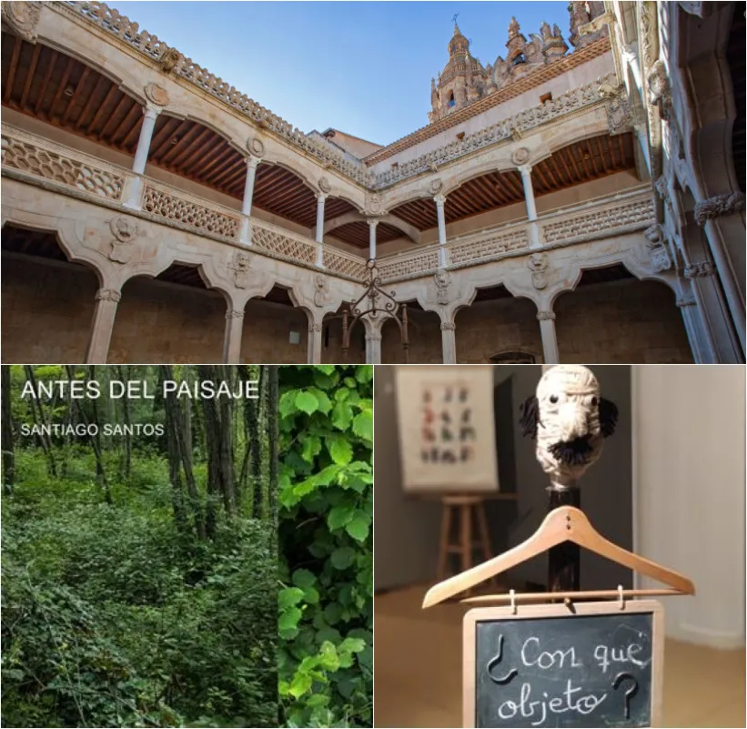 Exposiciones de verano en la Casa de las Conchas de Salamanca