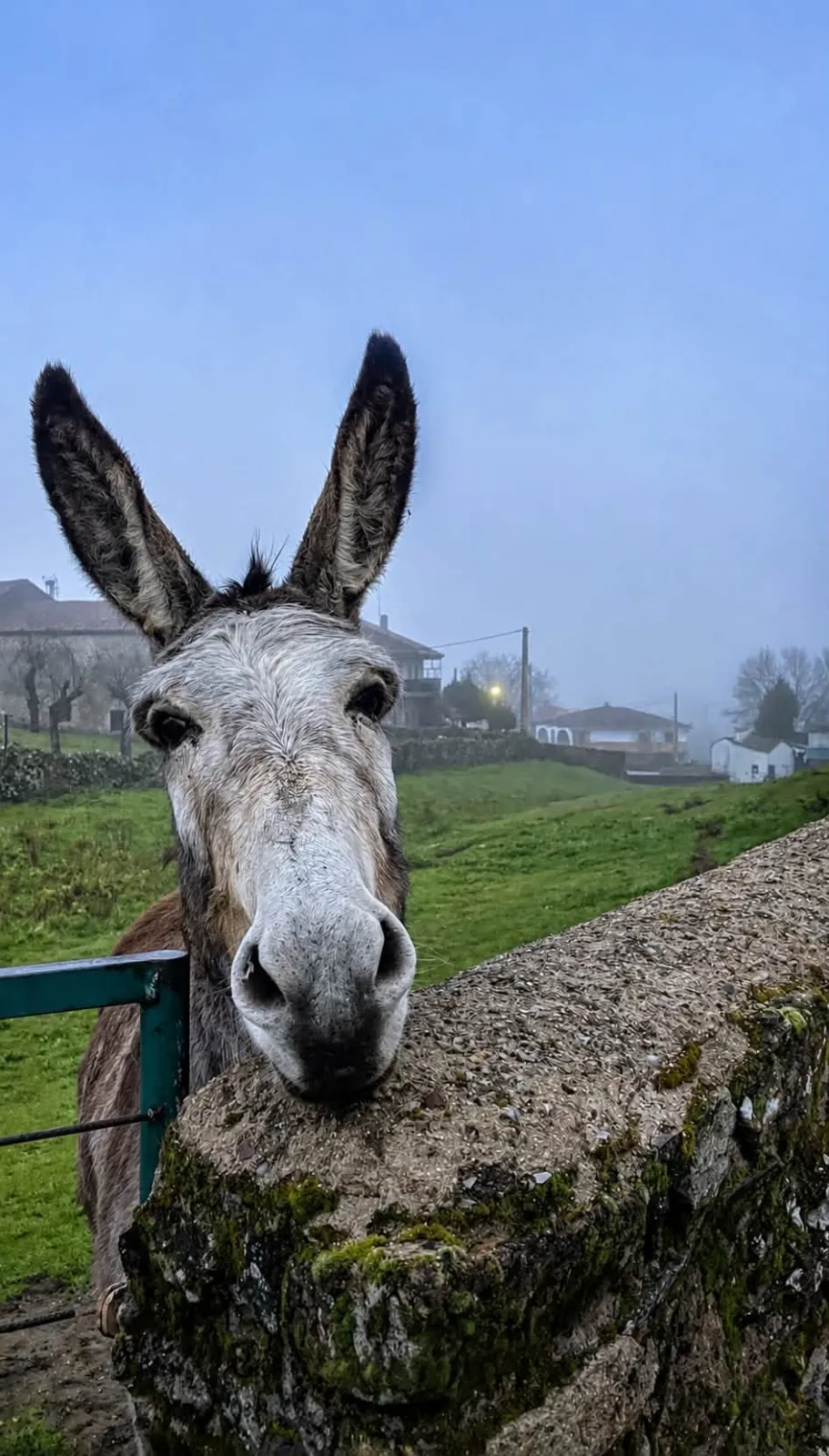 Fotografías participantes en el concurso de Navasfrías