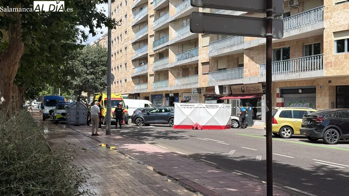 Despliegue de ambulancias, policías y bomberos por el atropello múltiple en la avenida de Comuneros. Foto V. Martins y M. A. González