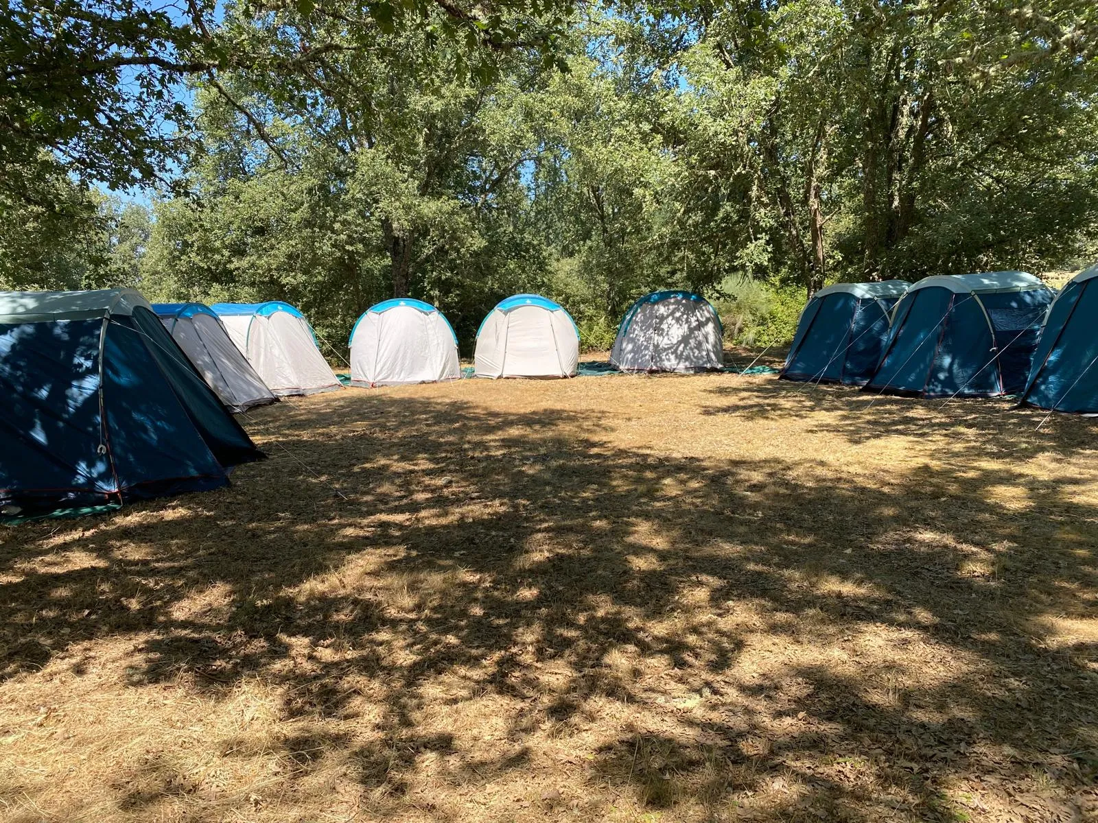 Campamento de Cáritas en el Campamento de San Francisco 