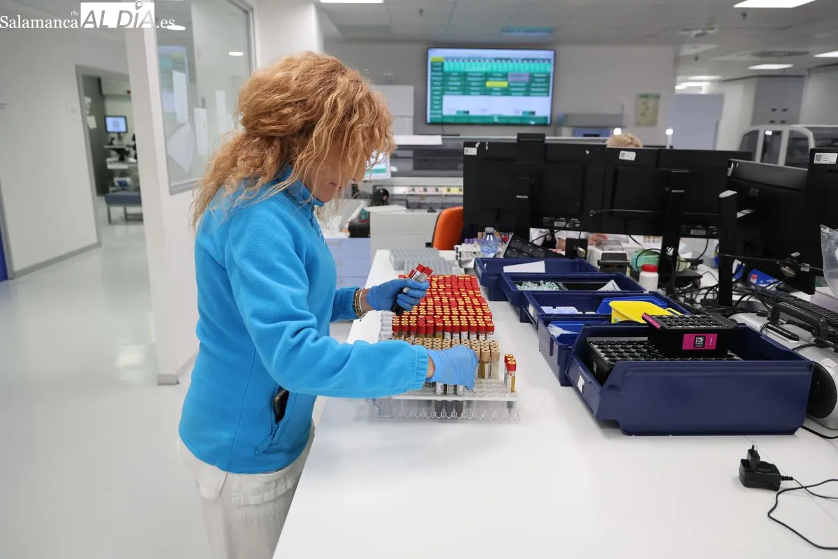 FOTOS | Hospital de Salamanca: procesan 10.000 muestras al día
