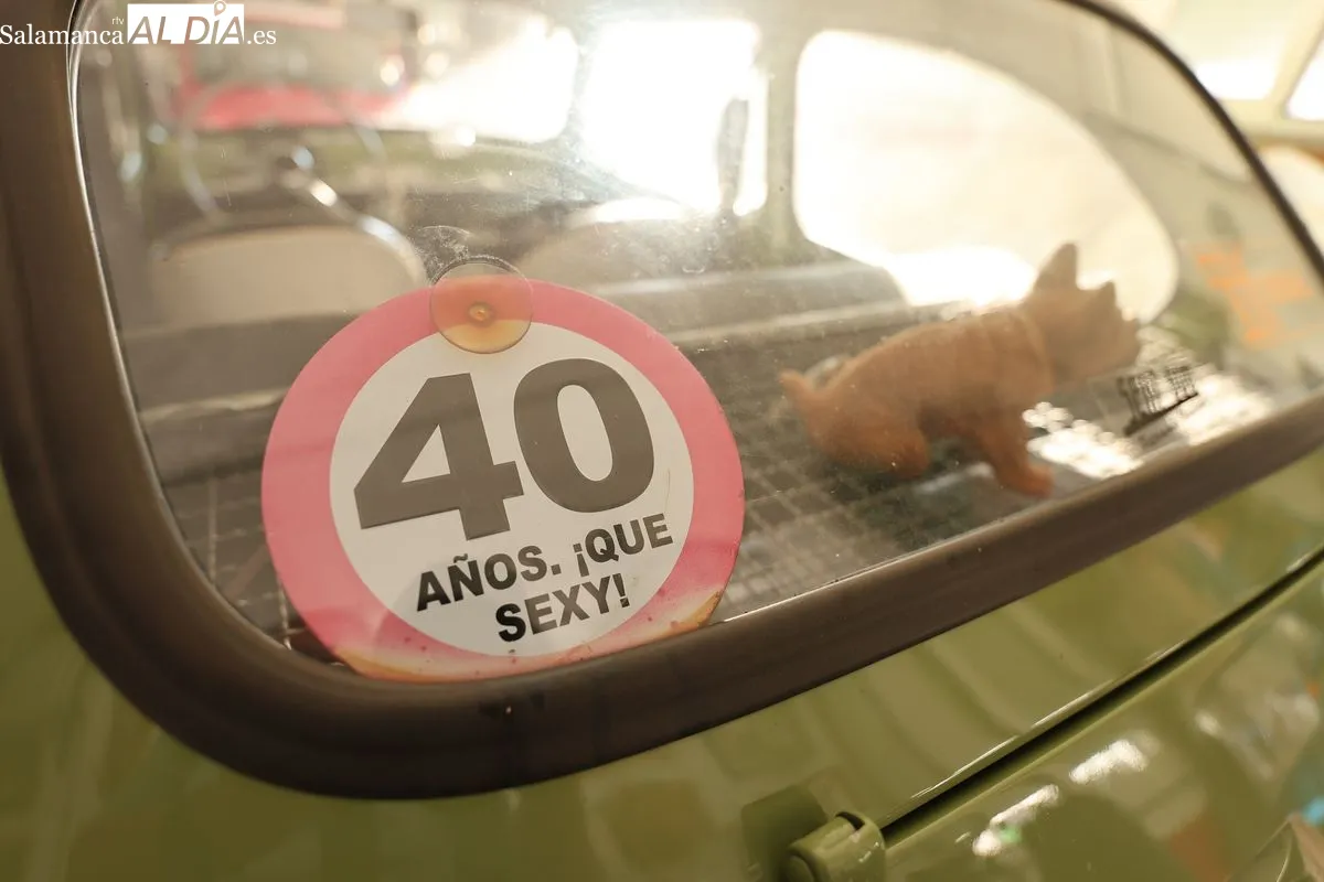 Joyas sobre ruedas en Salamanca: el salmantino que dedica su vida a los coches clásicos | Fotos: David Sañudo