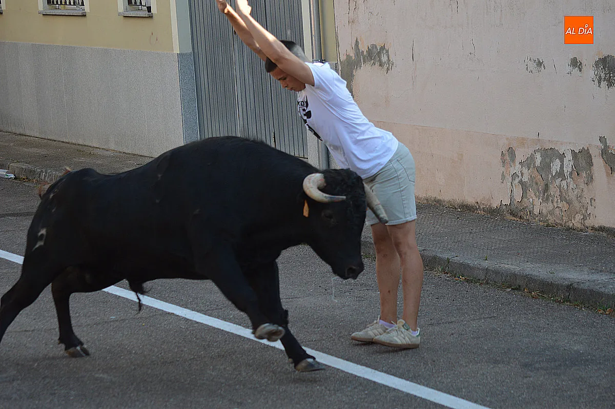 Suelta de vaquillas de las fiestas del Barrio Nuevo 2026 