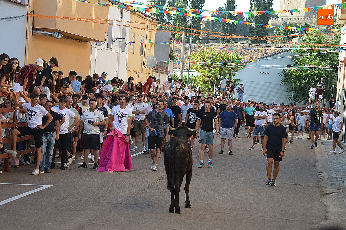 Fiestas del Barrio Nuevo 2026 suelta de vaquillas 
