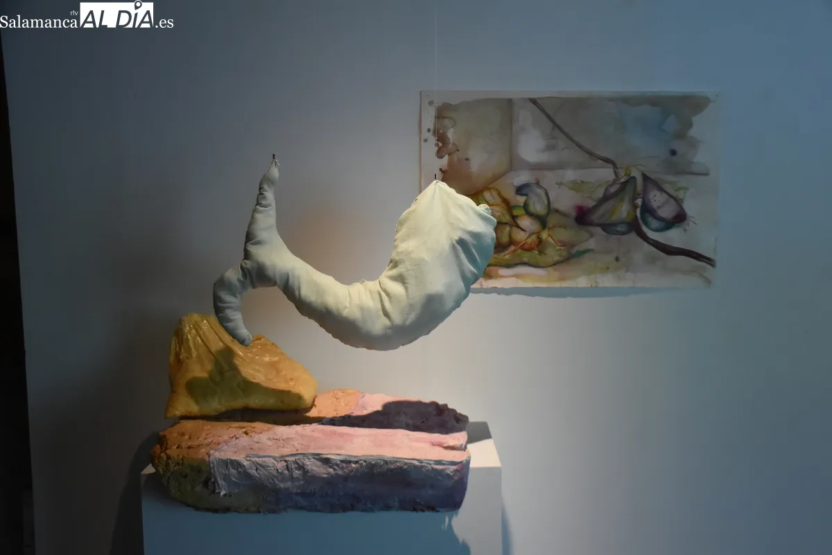 Una obra de 800 dibujos a lápiz protagoniza la nueva exposición de Alex Bow en Fonseca. Fotos de Miguel González