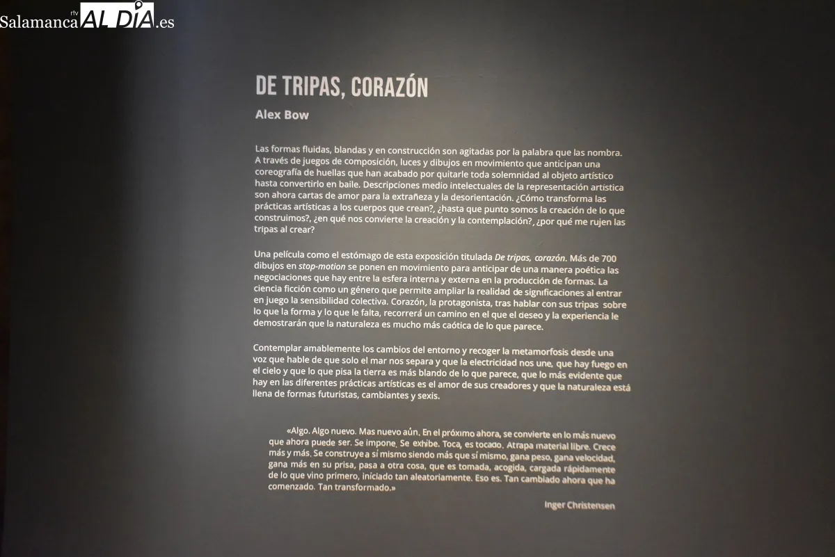 Una obra de 800 dibujos a lápiz protagoniza la nueva exposición de Alex Bow en Fonseca. Fotos de Miguel González