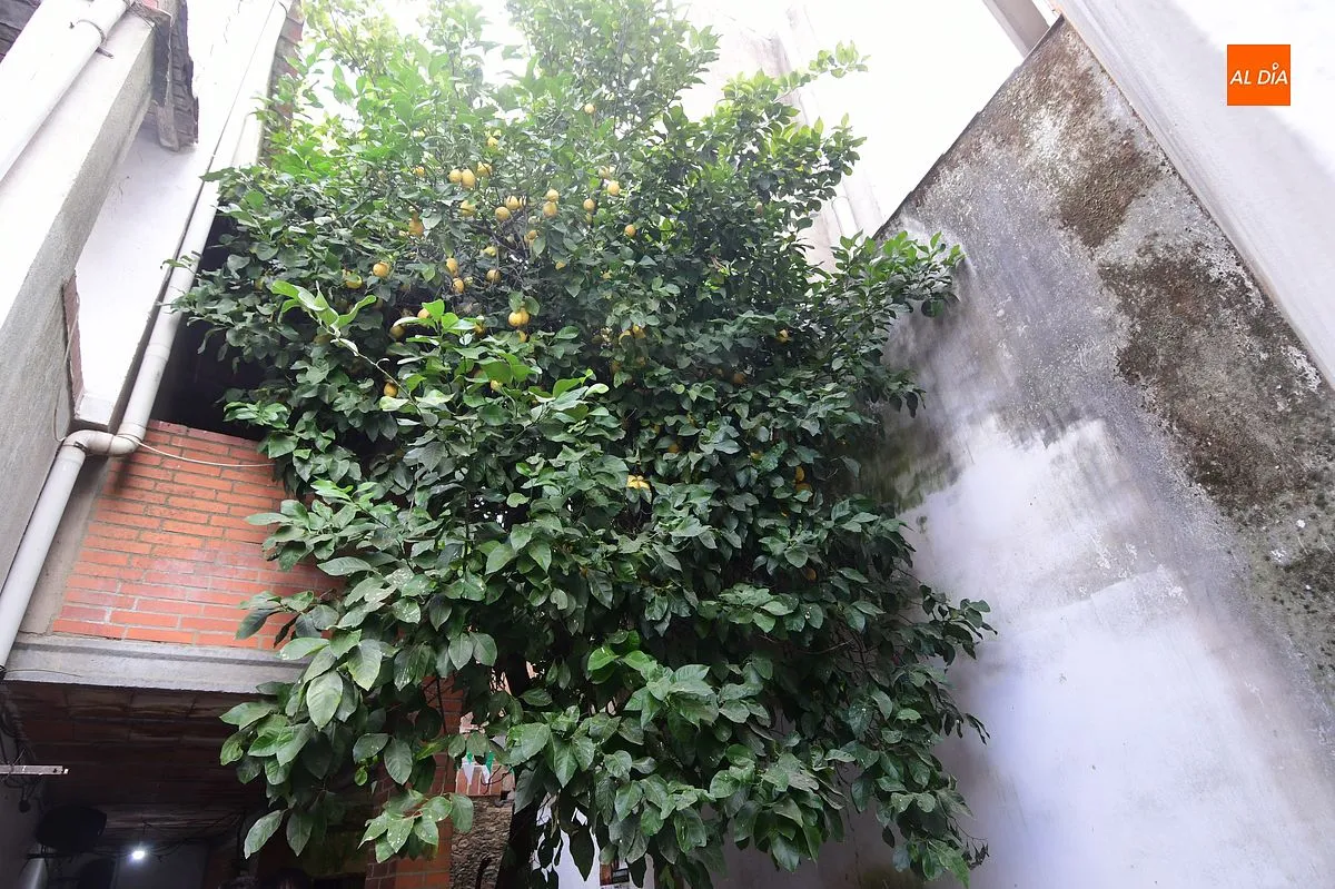 Peñas de Moraleja
