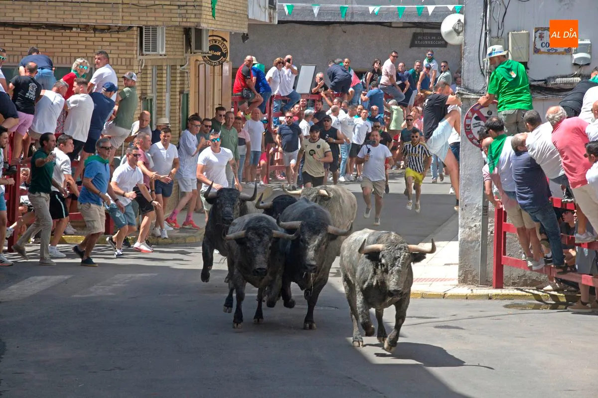 1er encierro de San Buenaventura 