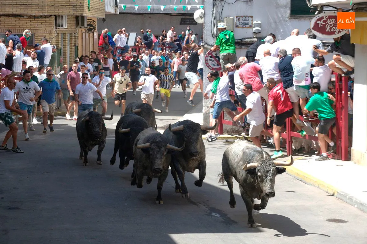 1er encierro de San Buenaventura 