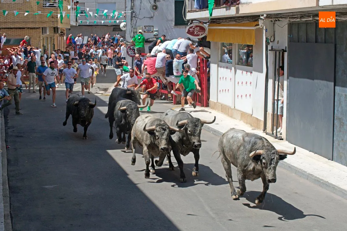 1er encierro de San Buenaventura 