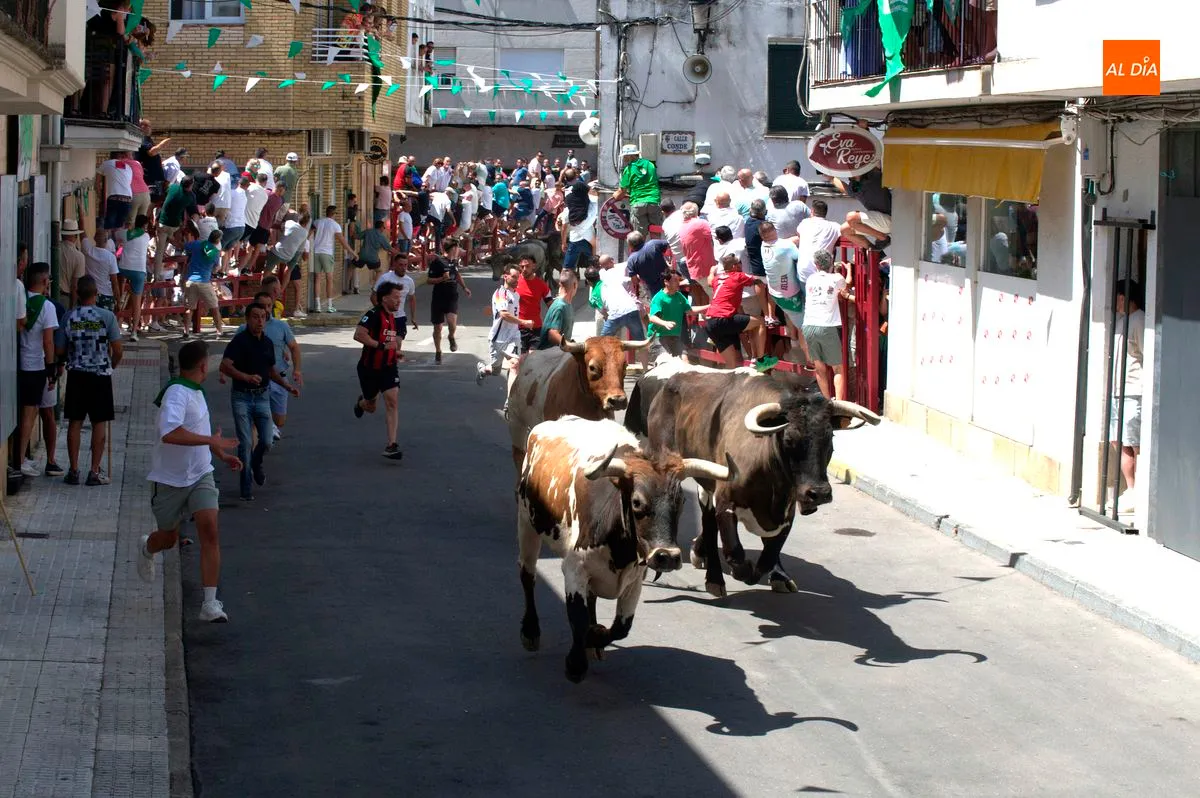 1er encierro de San Buenaventura 