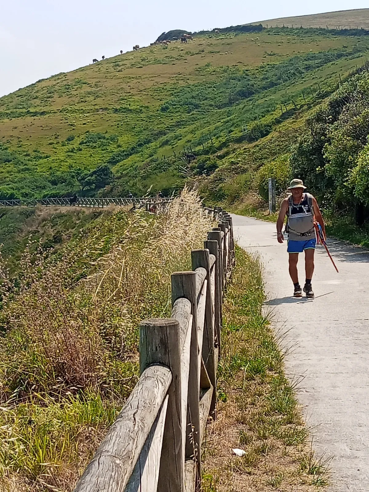 Foto 10 - Cuatro amigos ponen el broche al Camino del Norte tras a&ntilde;os de peregrinaci&oacute;n