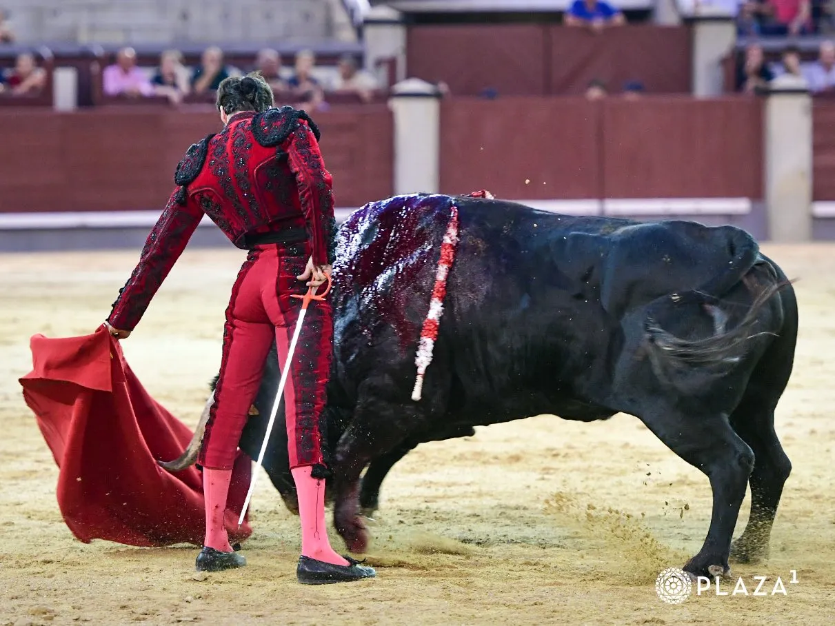 FOTOS: Plaza 1 - Las Ventas