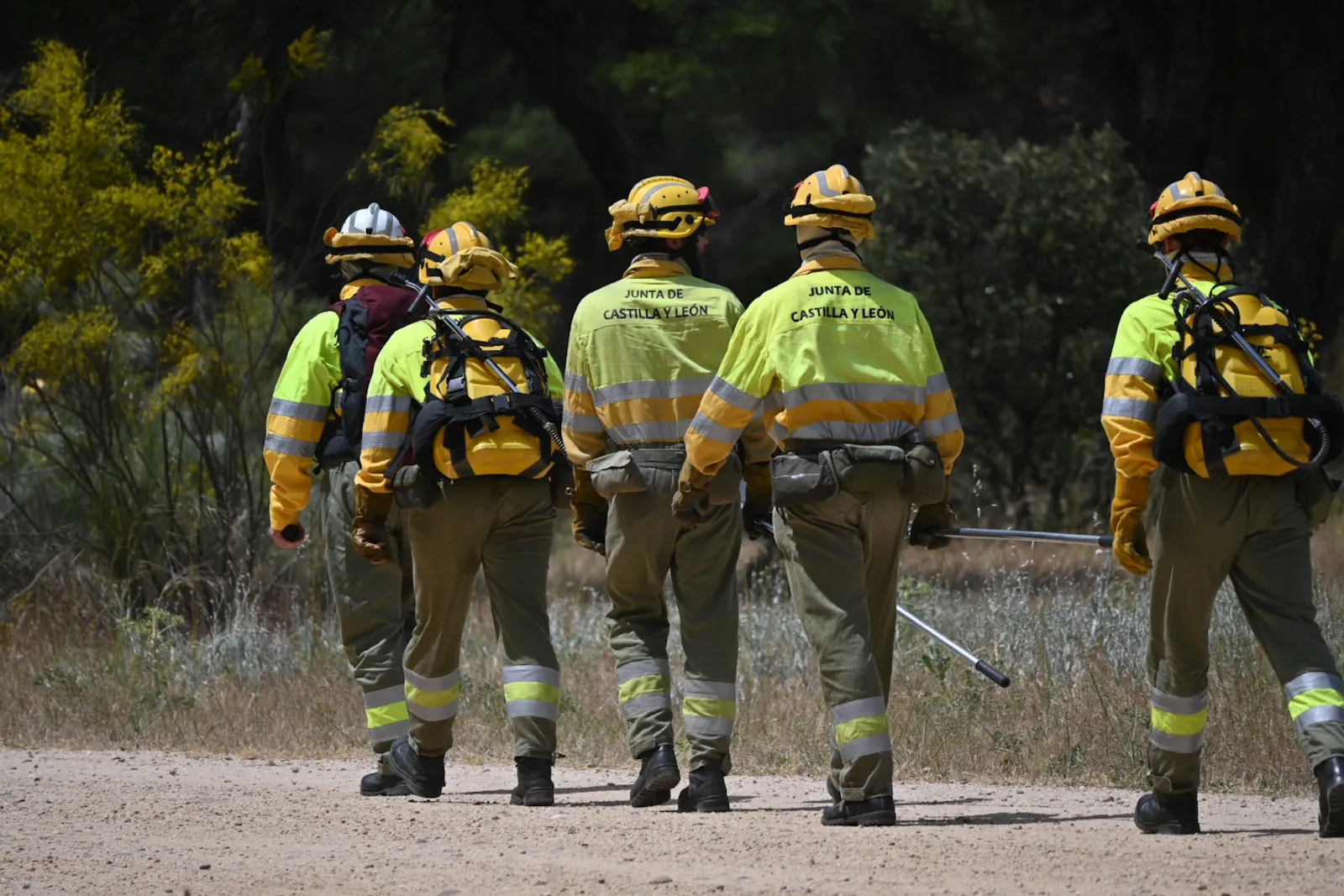 VÍDEO | Así frenan los incendios forestales os bomberos de Castilla y León 