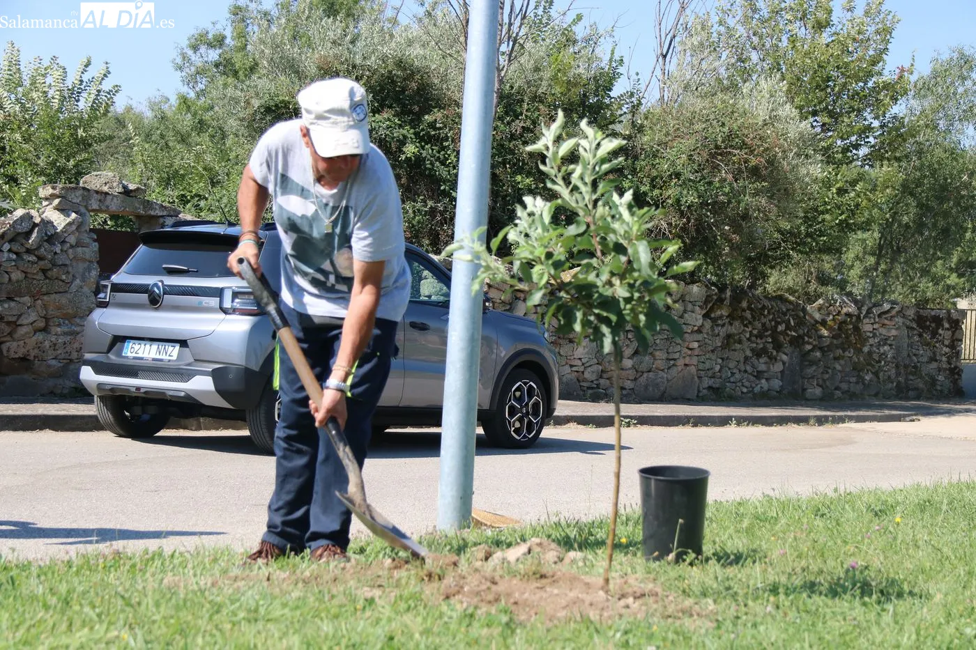 Vecinos de Yecla de Yeltes desarrollan el proyecto 'Arboleda' / ARIAS