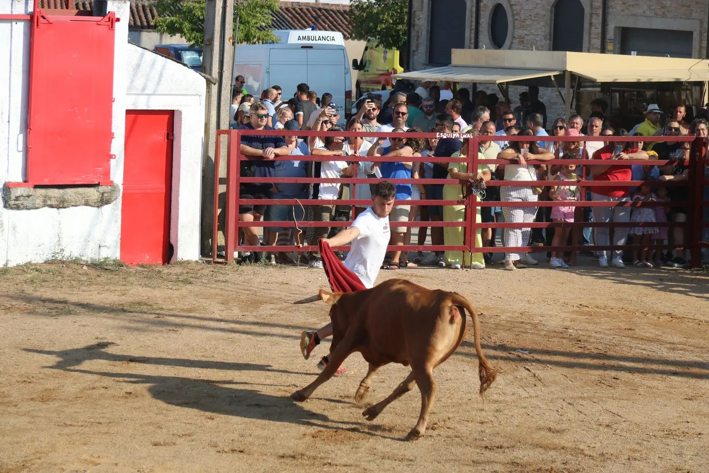 Toro de Cajón de Boada / ARIAS
